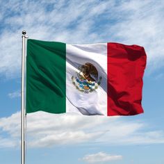 Generic Mexico National flag