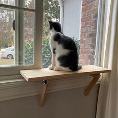 a black and white cat sitting on top of a window sill