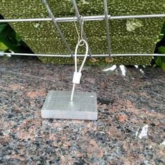 a square piece of metal sitting on top of a granite counter next to green plants