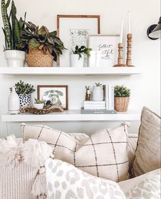 a living room filled with lots of furniture and plants on top of white shelving