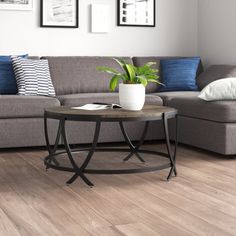 a living room with a gray couch and blue pillows on the wall, coffee table in front of it