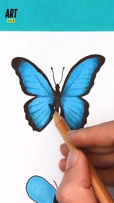 someone is drawing a blue butterfly with a pencil