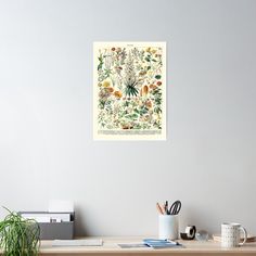 an illustration of various flowers and plants on a white wall above a desk with a planter