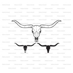 the longhorn skull is shown in black and white, with two horns on each side