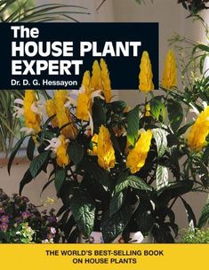 the house plant expert by dr d g hessyn on house plants and flowers