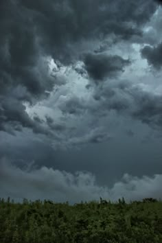 the sky is filled with dark clouds and green trees