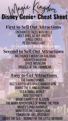 the magic kingdom guide for disneyland's castle and other things to do in disney world