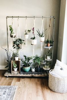 several plants are hanging from a metal rack in a room with wood floors and white walls