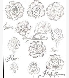 some flowers that are drawn on paper with the words, name and meaning in it