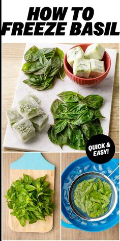 how to freeze basil for quick and easy salads - step by step instructions with pictures