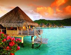 the water is crystal blue and clear with pink flowers in front of thatched huts