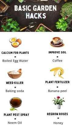 Tips For Gardening Vegetables, Cheap Garden Hacks, Beginners Guide To Gardening, Garden Herbs Ideas, Backyard Garden For Beginners, Starting A Small Garden, Flower Garden Beginner, Gardening Flowers For Beginners