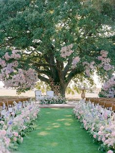 an outdoor ceremony set up with chairs and flowers on the grass under a large tree