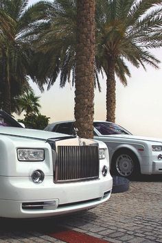 two rolls royces are parked next to each other in front of some palm trees