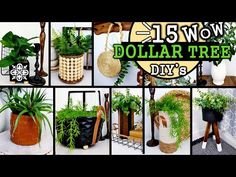 a collage of different types of planters with the words $ 15 now dollar tree diy's