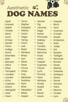 a poster with the names of dog names