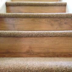 carpeted stairs leading up and down to the top floor in a house or home