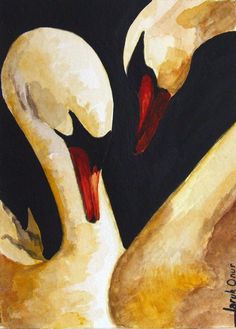 two white swans with red beaks are touching each other's necks in front of a black background