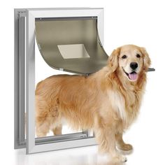 a golden retriever dog standing in front of an open door