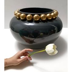 a person holding a flower in front of a black vase with gold balls on it