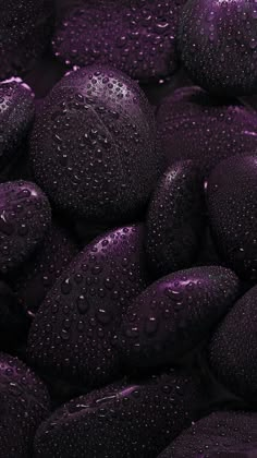 purple water droplets on black rocks in the rain