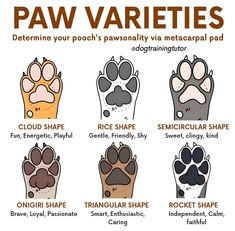 the paw varieties for dogs and cats