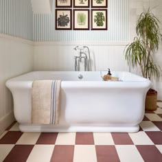 a white bath tub sitting in a bathroom next to a potted green plant and pictures on the wall