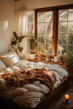 an unmade bed in front of two windows with plants on the window sill