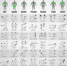 an exercise poster showing the different exercises to do for your body and shoulders, with instructions on