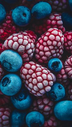 blueberries, raspberries and other berries are all covered in powdered sugar