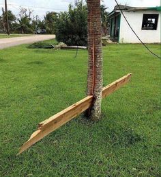 a tree that has been knocked over by a power line on the grass in front of a house