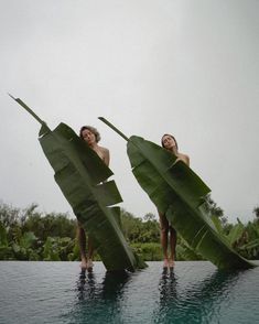 two people are standing in the water with giant leaves