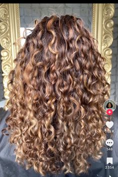 Highlights On Long Curly Hair, Different Colored Highlights, Light Brown On Curly Hair, Soft Brown Curly Hair, Curly Hair With Copper Highlights, Golden Highlights Curly Hair, Balayage Curly Hair Brunettes, Blonde Balayage On Dark Hair Curly, Ginger Highlights Curly Hair