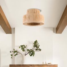 a living room filled with furniture and a plant on top of a wooden table in front of a white wall