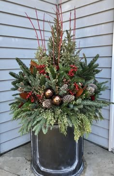 a potted plant with pine cones, berries and greenery on the side of a house