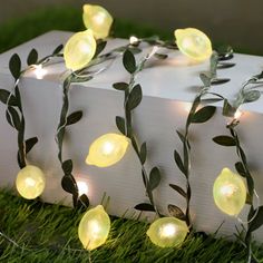 a box with some lights on it sitting in the grass next to a string of leaves