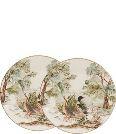 two plates with birds on them sitting next to each other in front of a white background