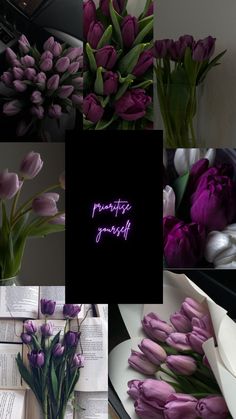 purple tulips are arranged in multiple pictures