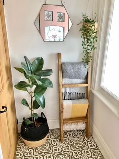 a room with a chair, potted plant and mirror on the wall