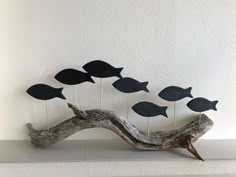 a driftwood sculpture with fish on it sitting on top of a white shelf next to a wall