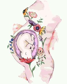 a drawing of a woman's breast with flowers and butterflies around her stomach, in watercolor on paper