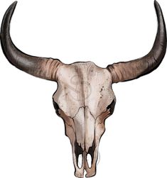 an animal skull with long horns on a white background