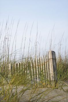 a wooden fence sitting next to tall grass on top of a sandy beach covered in sea oats