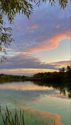 the sky is reflected in the calm water at sunset, with trees and grass on either side