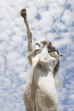 a statue of a horse reaching up into the sky