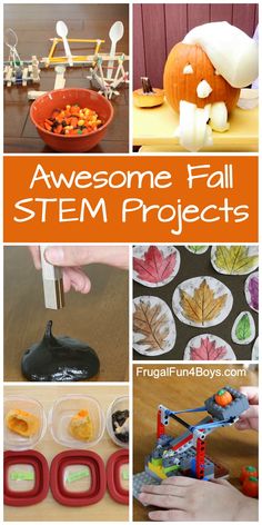 Projects For Elementary Students, Fall Stem Activities, Thanksgiving Stem, Stem Camp, Stem Activities Preschool, Elementary Stem Activities, Fall Science, Halloween Stem, Stem Projects For Kids