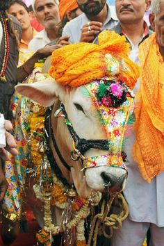 a cow is adorned with colorful decorations and garlands as people watch from the sidelines