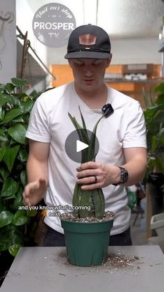 a man standing next to a potted plant with dirt on it's bottom