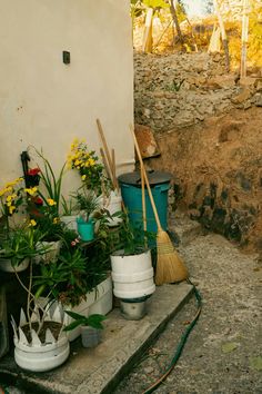 several buckets filled with plants and brooms sitting on the side of a building