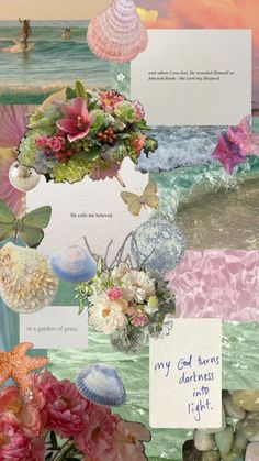 a collage of flowers and seashells on the beach